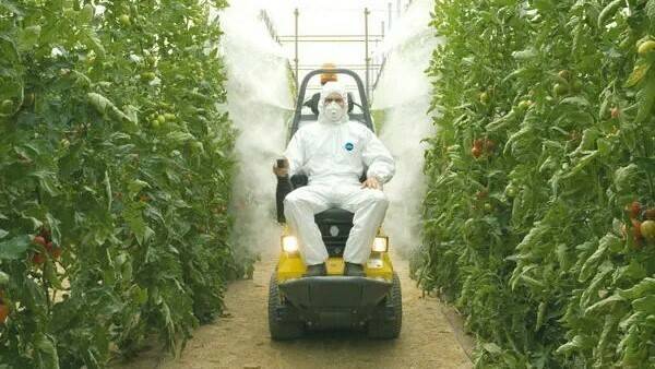 uso-correcto-fitosanitarios|apps-fitosanitarios|chinche-fitosanitarios